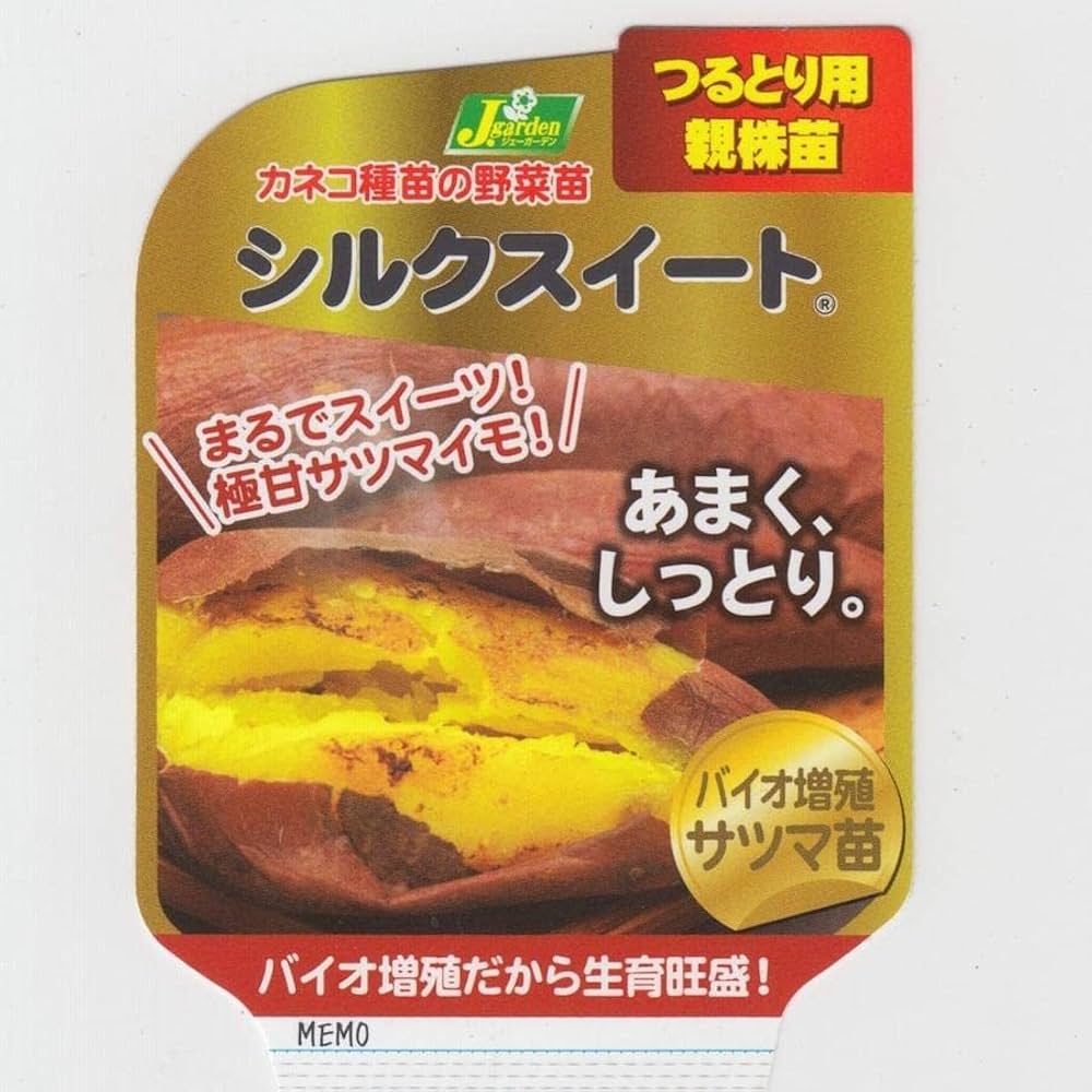 さつまいも苗 シルクスイート 100本 切り苗 送料無料 匿名取引 しっとり甘い 楽天市場】カネコ種苗のつる取り用親株さつまいも苗「シルク
