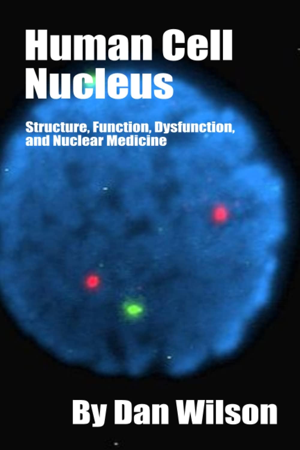 Human Cell Nucleus: Structure, Function, Dysfunction, and Nuclear Medicine Paperback – 25 Feb. 2023