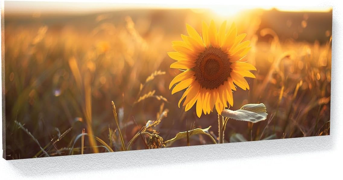 Sense Canvas Sunflower Symphony 11 Canvas Art - Home Decor Wall Art Print Poster Painting Medium 30x12 / 0.75"