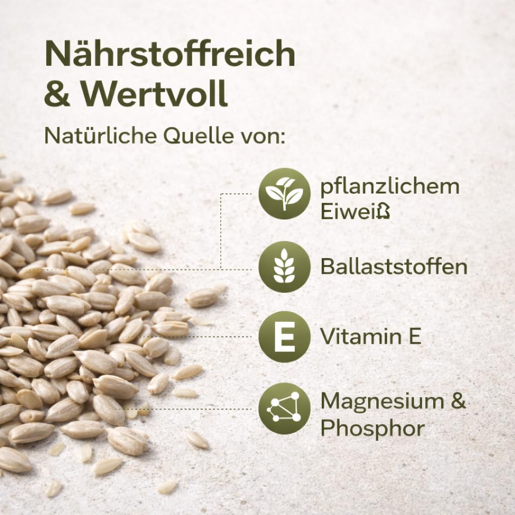 GiDeli Sonnenblumenkerne geschält 20 kg im Eimer - Roh und Ungesalzen - Gesunder Snack für Menschen - Ideal zum Essen, Backen und Kochen