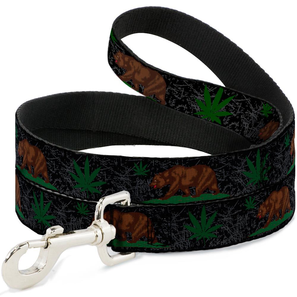 Laisse pour chien robuste Buckle Down au motif pot de fleurs en feuille vert et gris