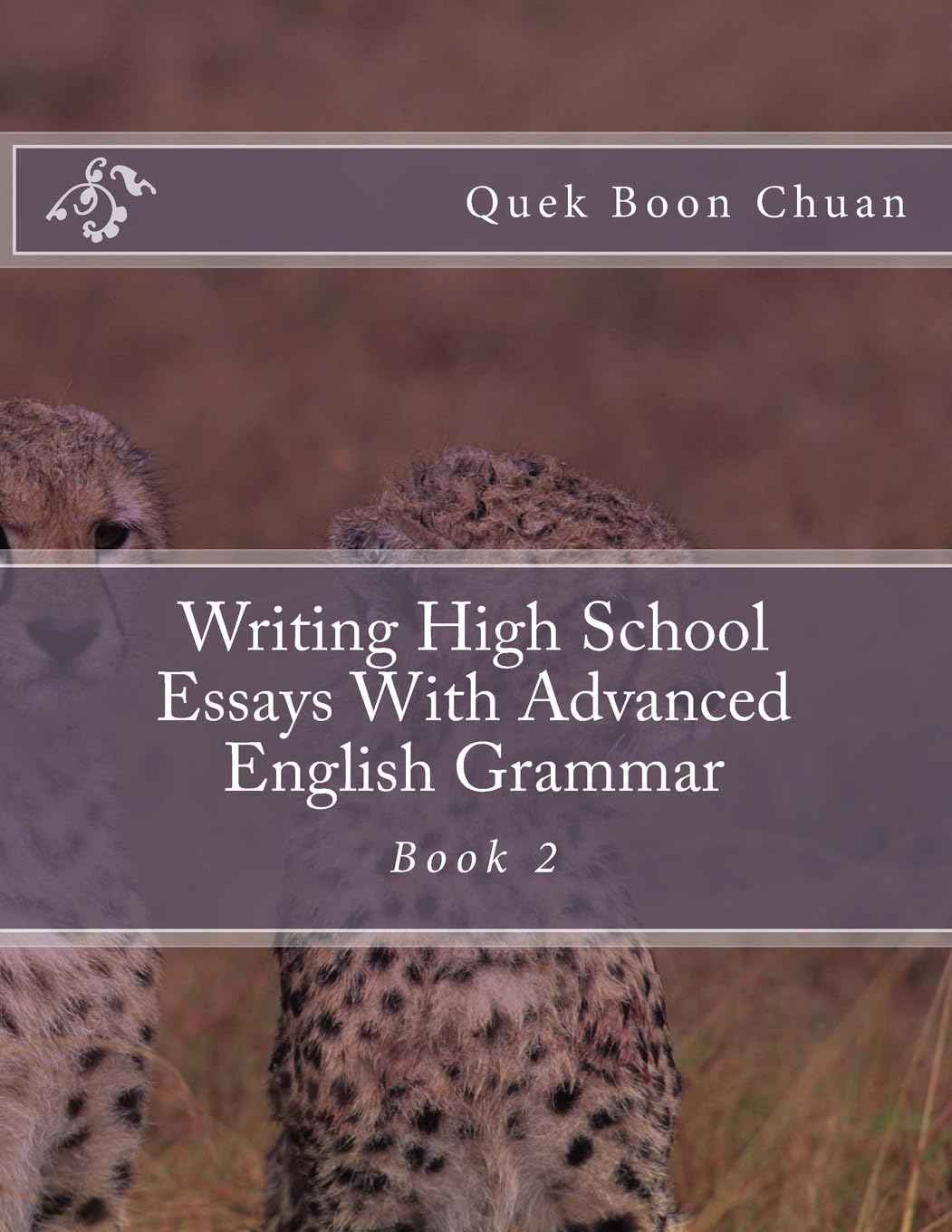 Amazon.com: Writing High School Essays With Advanced English Grammar ...