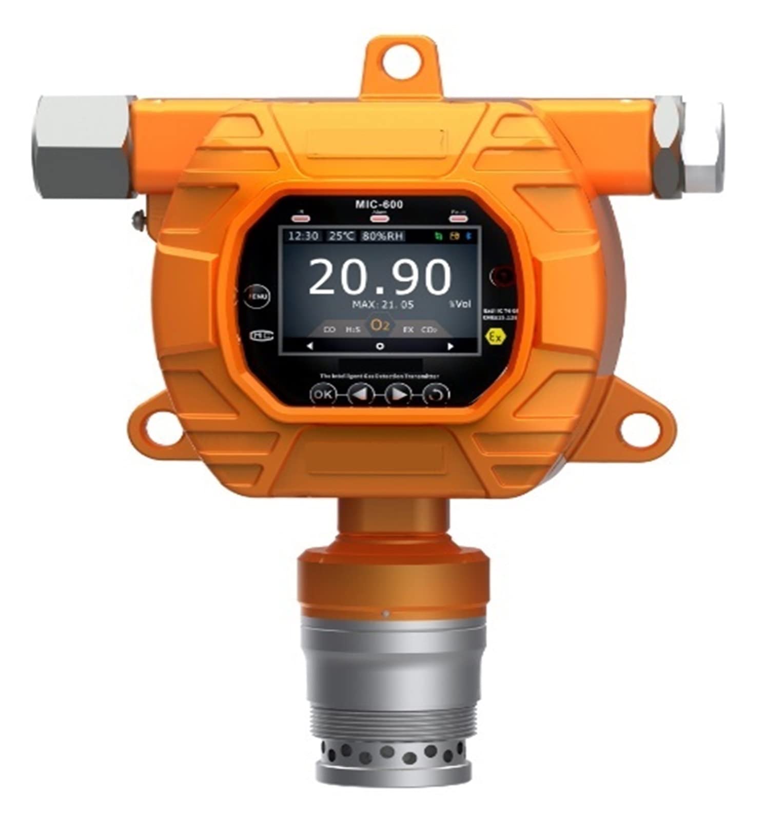 Gasdetektoren, Gasdetektor, Überwachung mehrerer Gase, CO, H2S, O2, Ex, CO2, NOX, LCD Hohe Präzision anzeigen, gelb(Ex:0～100% LEL)