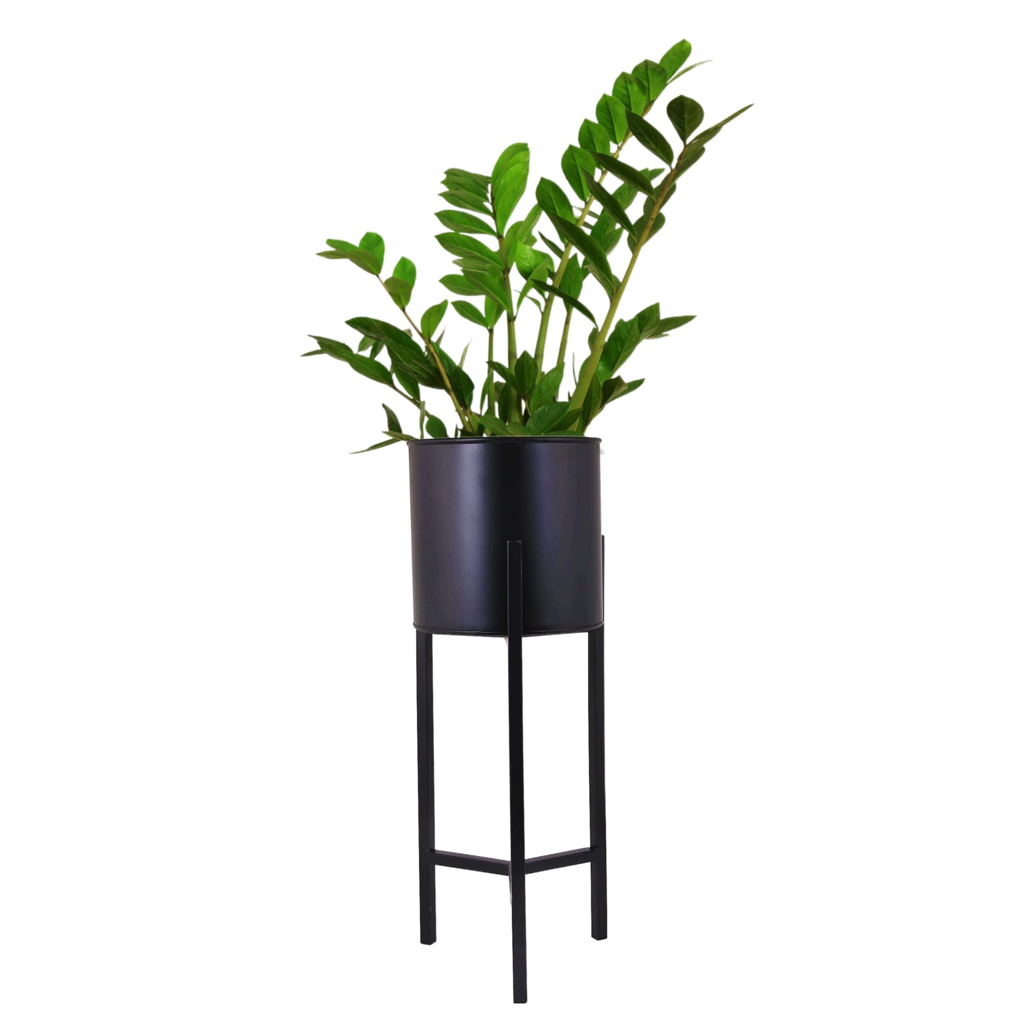 Leafy Tales Metal Pack of 1 Plant Stand with Metal Planters Pot Holder Flower Pot Indoor Outdoor in Tri Leg (Black, Small) (B09NKN32B6) Amazon Price History, Amazon Price Tracker