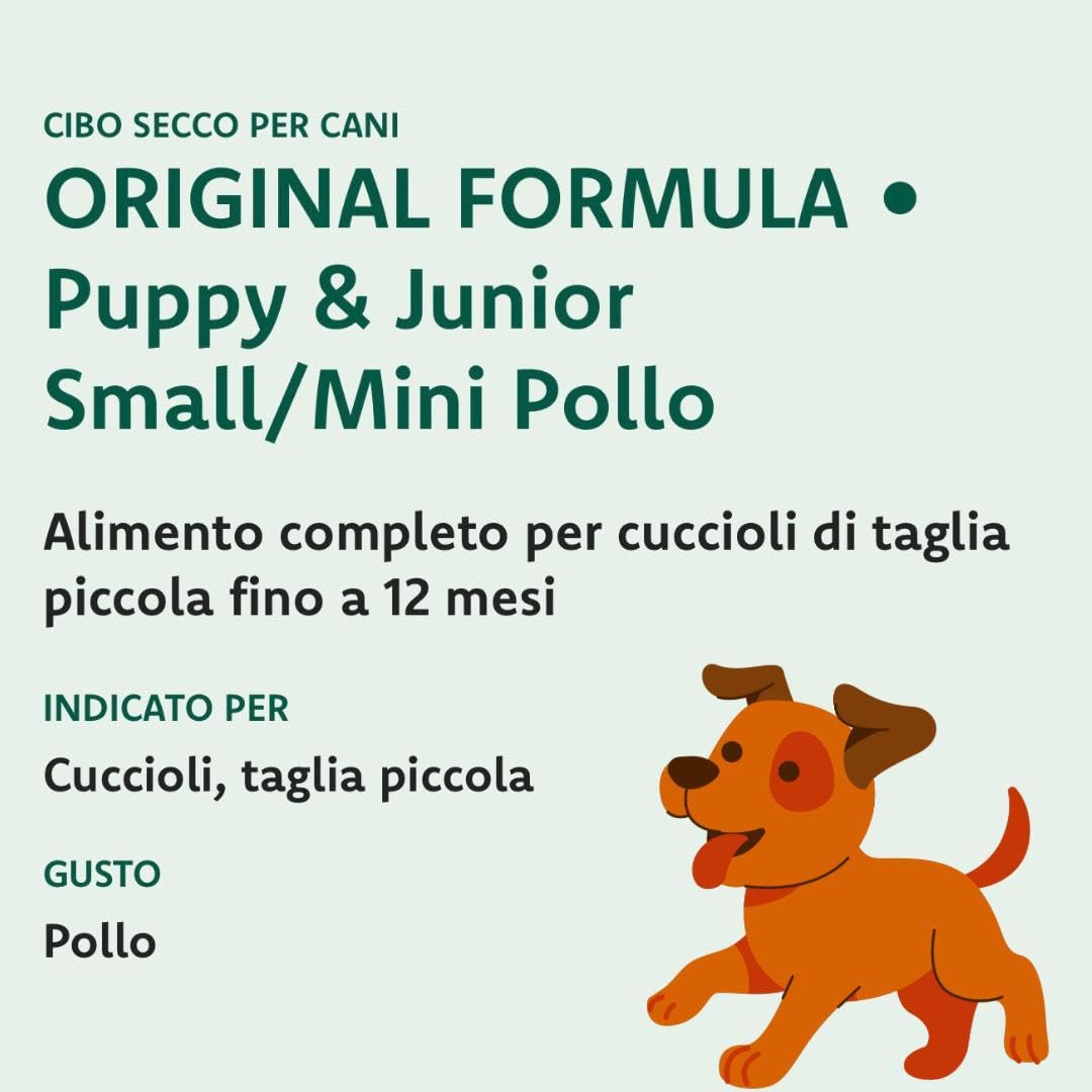 Oasy Puppy - Pienso para perros pequeños/mini pollo, 2 kg, alimento completo para perros cachorros de talla pequeña y mini sabor pollo, paquete de 2 kg, 2 kg