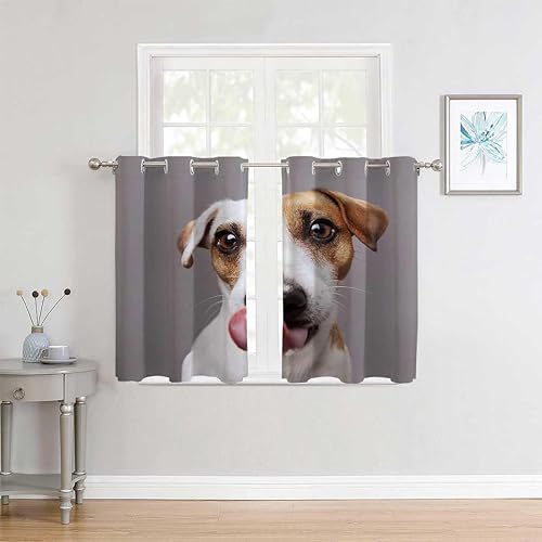 Cortina opaca con ojales para perro, cortina corta para puerta, cortinas para Ventanas de Cuarto 63 pulgadas de ancho por 80 pulgadas de largo, 2
