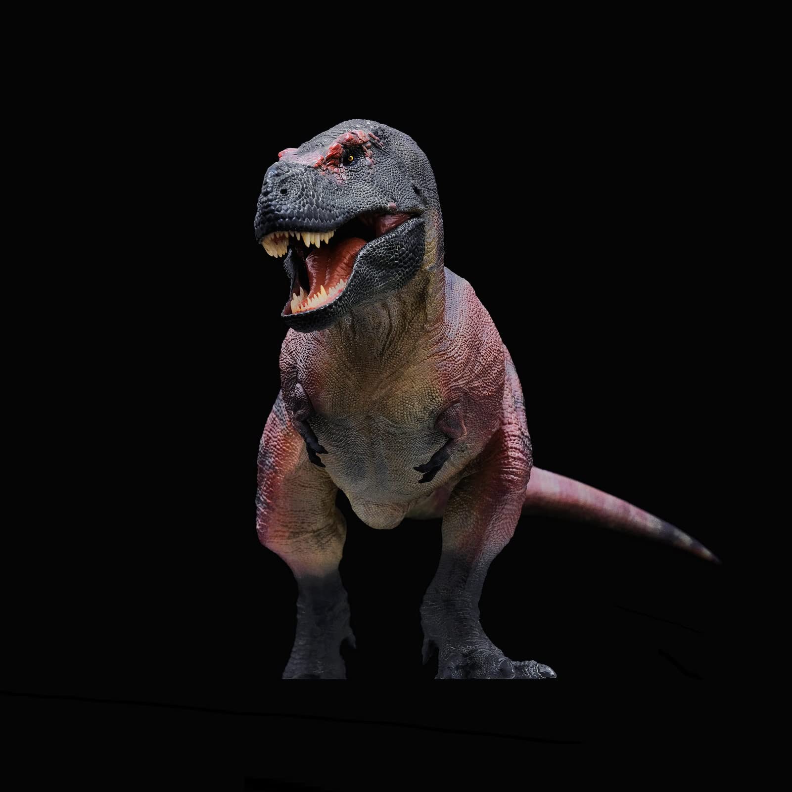 Amazon.co.jp: XINPANYIAN リバー ティラノサウルス レックス キス 山