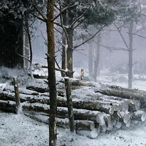 S11E73 - Band of Brothers Minute &ndash; 073 &ndash; No Podcast Left Behind &ndash; MovieRob Minute Season 11