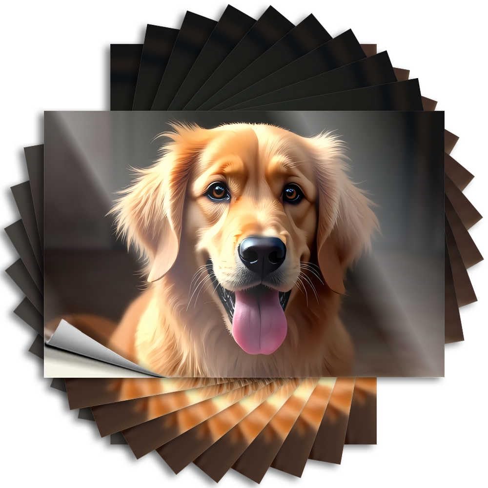 Fzfn Girls Colour Summer, Saying Tumbler Golden Retriever: A Picture Of Perfection | Outdoor Patio Decor(6X9cm)