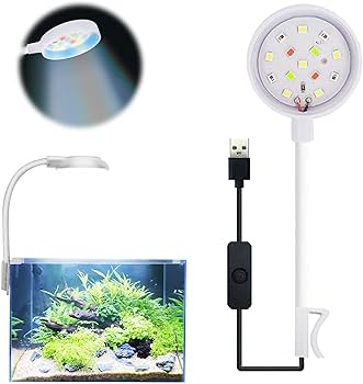 LED 3Wライト　2白1青30個 観賞魚、植物、水槽など多用 LED 3Wライト 30個2白1青 観賞魚、植物、水槽など多用 LED 3Wライト 2