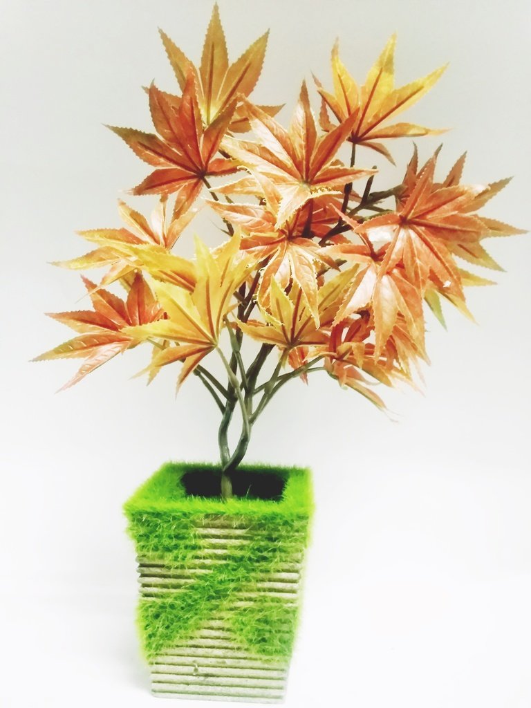 Artificial Bonsai Plants Amazon.in