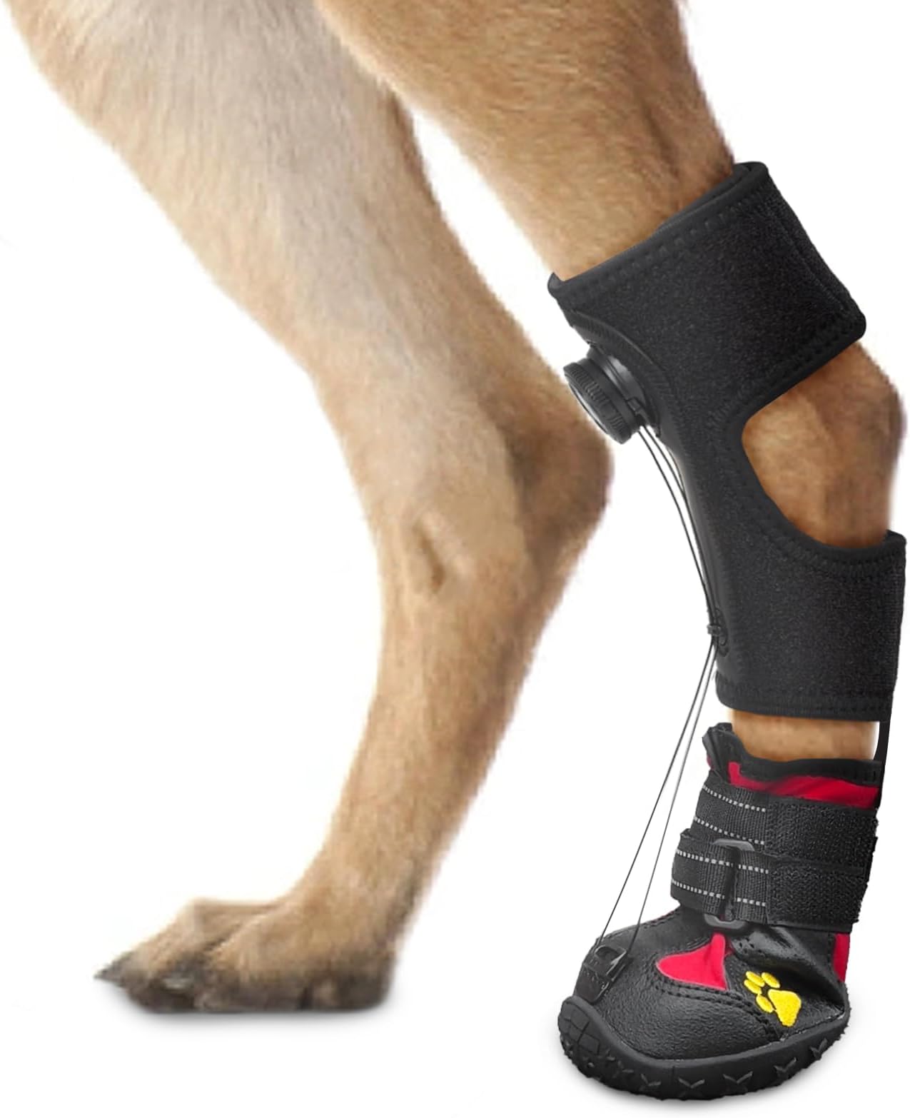 Drop Foot Brace with Reel(No Knuckling Boot Brace) for Dog - Corrective Dog Shoes to Safely Lift Toes for Foot Issues, Arthritis, and improving Walking gait in Dogs(S)