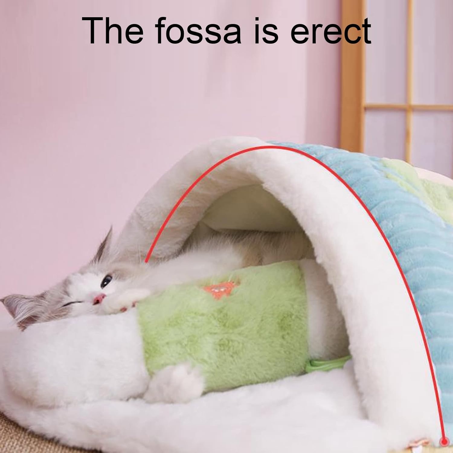 Cat Sleeping Bag with Removable Pillow, Plush Warm Cat Bed Cave Nest Flower Pattern Pet Self-Warming Snuggle Sack, Soft Cozy Kitten Hideaway House for Puppy Cats Kitty Small Dogs Animals