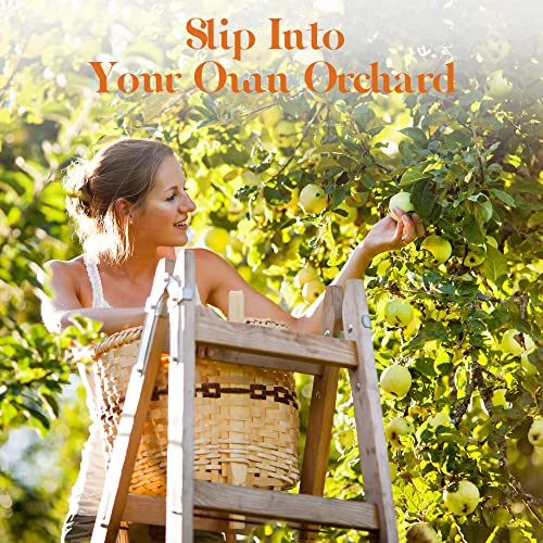 Asakuki Fruit Essential Oils Gift Set, 10 X 10Ml Premium Fragrance Oil - Coconut, Mango, Lemon, Strawberry, Watermelon, And More Scented Oils #TOP6