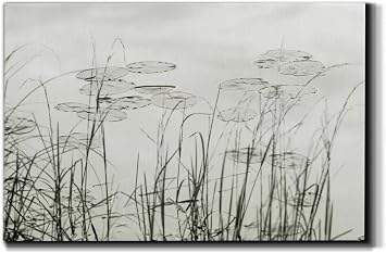 WEXFORD HOME Landscape Wall Art Gallery Wrapped Canvas Ocean Beach Animal Picture Modern Artwork Decoration for Living Room Kitchen Bathroom Office, Ready to Hang