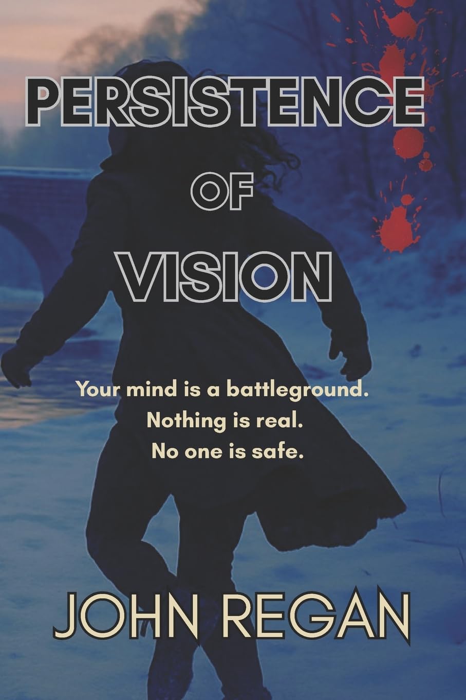 Persistence of Vision: Seeing is not believing