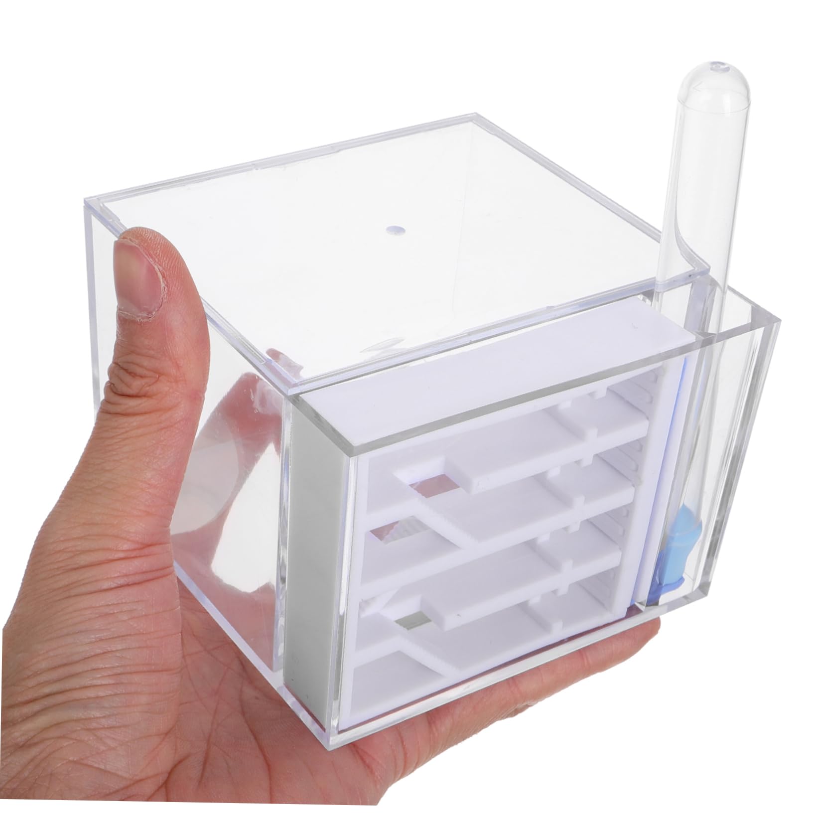 BESTonZON Fourmilière en Acrylique Observation Facile, Trousse Éducative pour Enfants, Jouet Scientifique