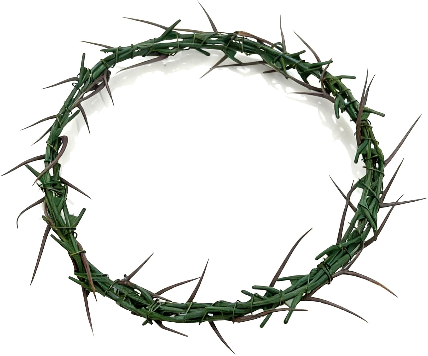Jesus Thorn of Crown Headpiece-Crown of Thorns Ring, 7.5-8" Crown of Thorns Plant,Handmade Wearable Crown Decor for Christian Easter, Church Events, and Christmas Tree Topper (Wood Color)