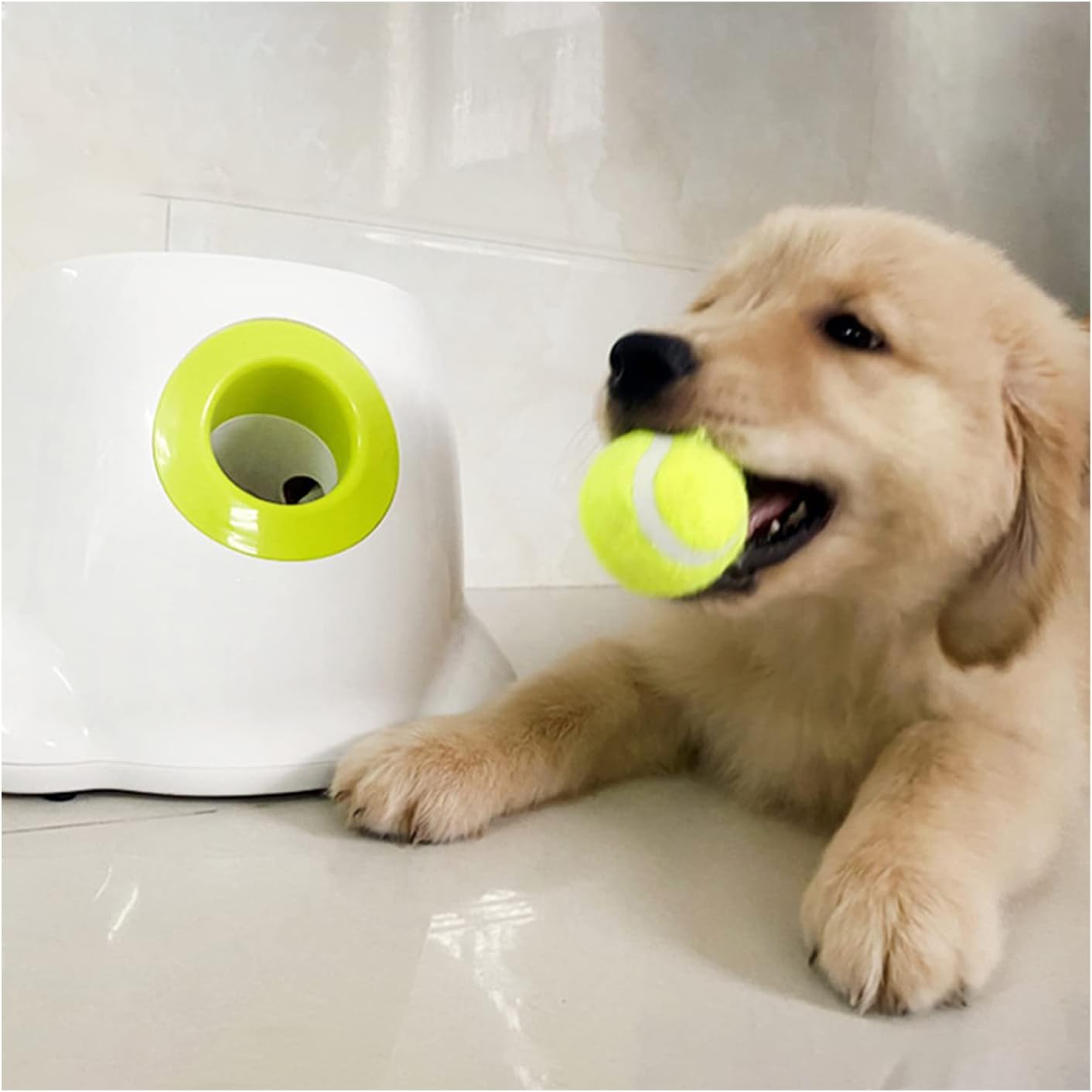 amazon automatic dog ball thrower