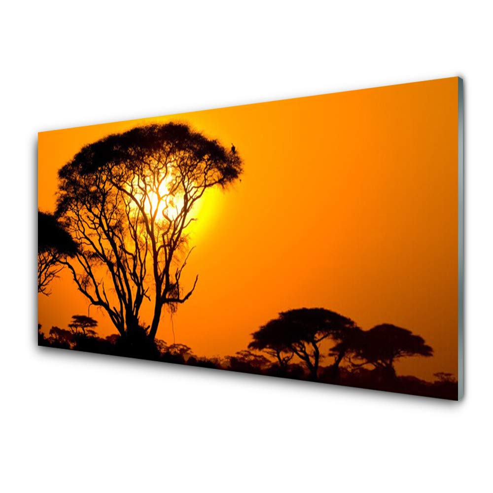 Tableau en verre trempé 100x50cm nature ensoleillée pour salon lumineux