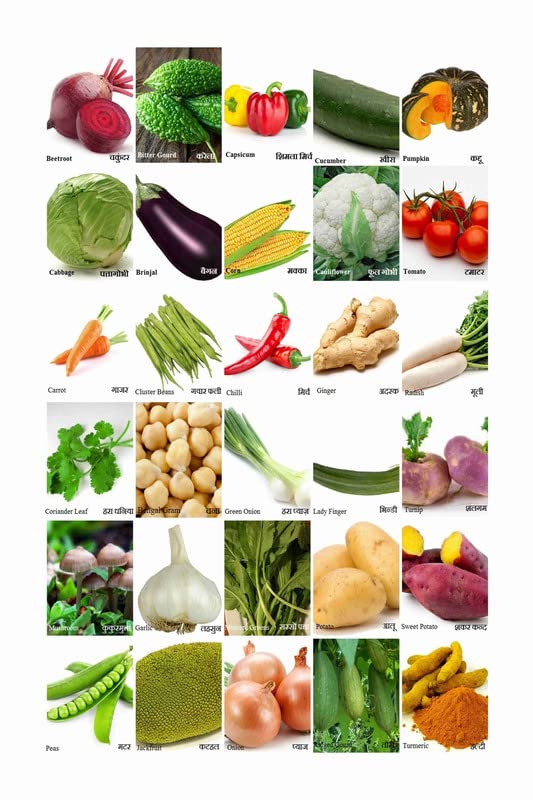 BALDAU PRINTS Vegetables Name Chart Poster (Gloss Laminated, 12X18 Inch
