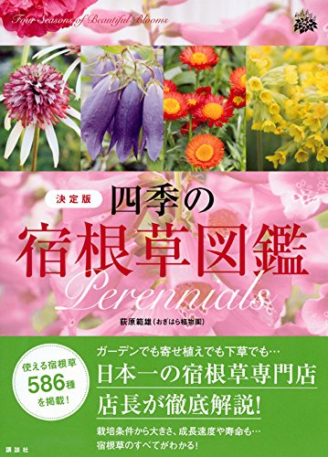 裏庭に植えた宿根草 秋植えしたおすすめ宿根草11種 パパの手間いらず庭づくり