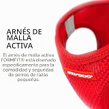 Ver la foto 3