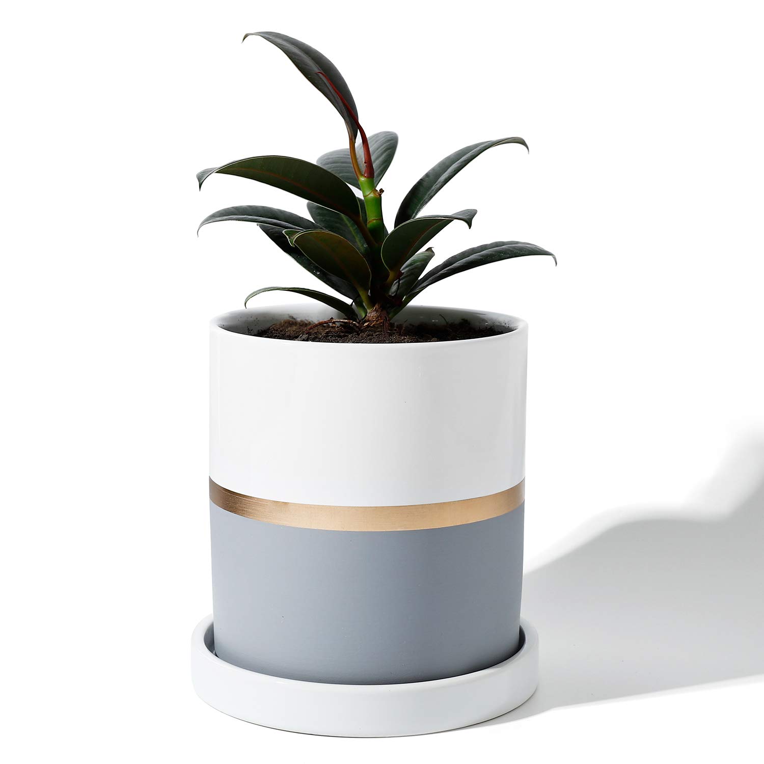 Amazon.com : POTEY 052101 Planter Pots Indoor - 4.9 Inch Cylinder