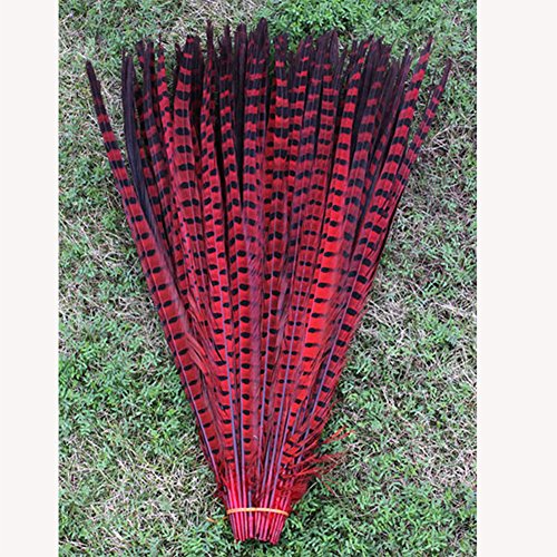FJROnline - Lot de 20 plumes de queue de faisan naturelles pour loisirs créatifs ou décoration, 25 à 30 cm Rouge Cover