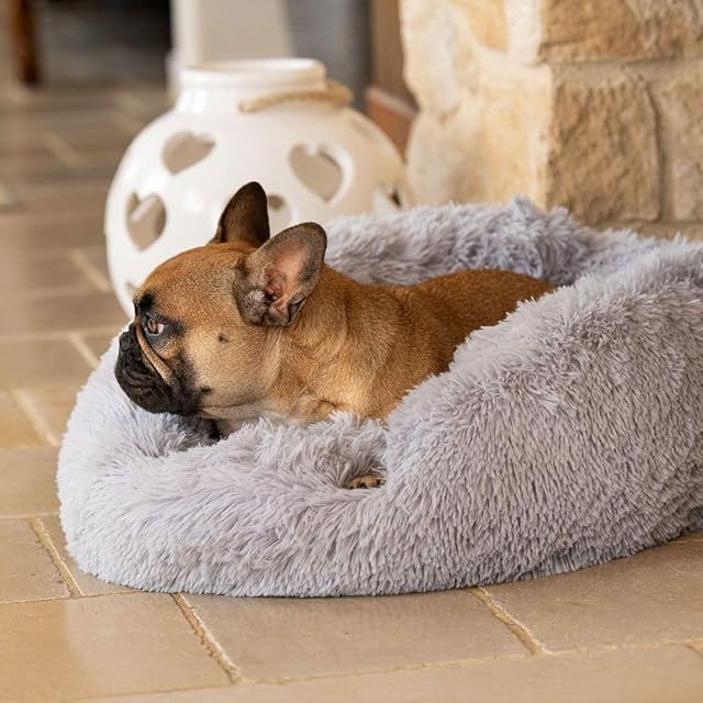 Foto 4 de 6 de Ferplast Cama Interior para Gatos Cuddly 60 Cama para Perros Cojín de Felpa Suave para Gatos