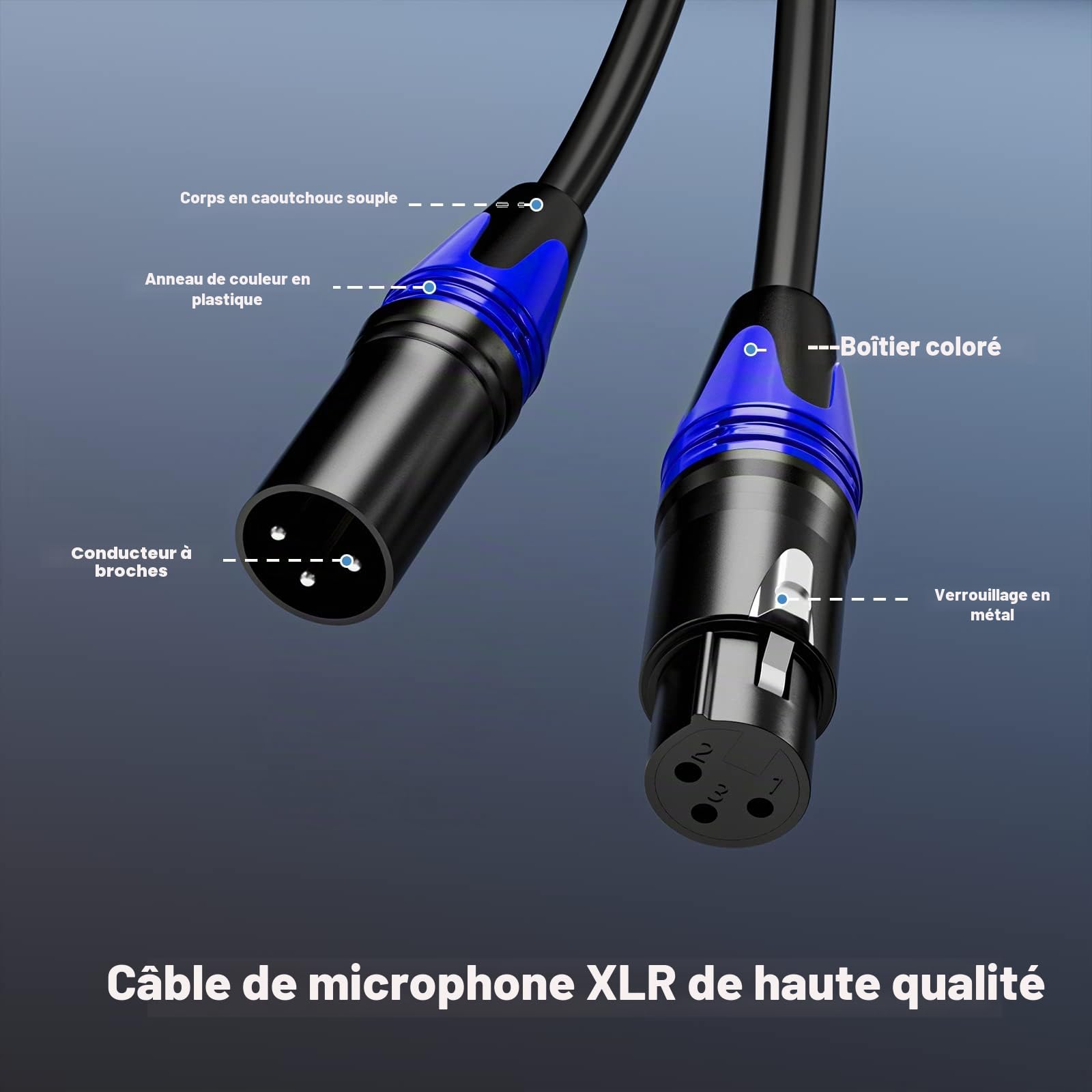 EBXYA Câble XLR 2m 10-Pack Multicolore pour Microphone et DMX