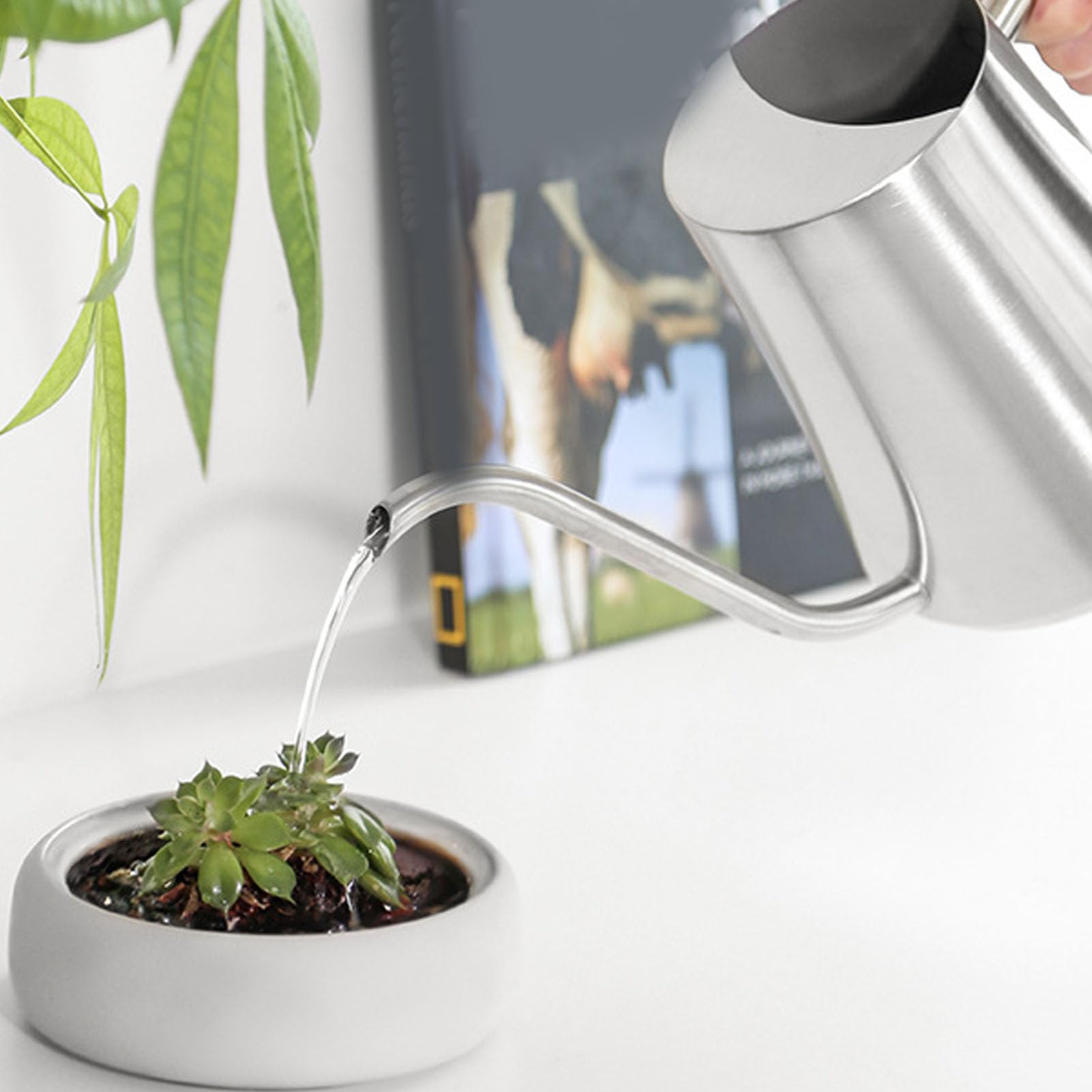 Regadera Interior de 1 Litro con Pico Largo | Caño Largo Sin Desbordamiento, Mango de Madera, Pequeña Lata de Agua de Metal para Casa, Bonsái, Plantas, Flores de Jardín