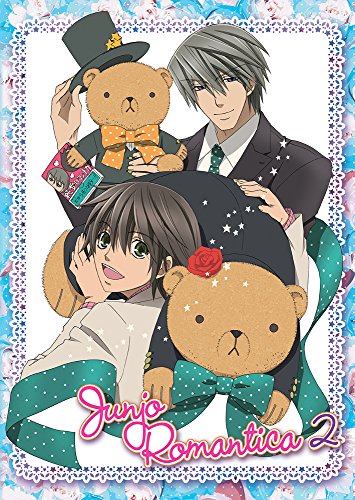 Junjo Romantica: Season 2 [DVD] [Region 1] [US Import] [NTSC]