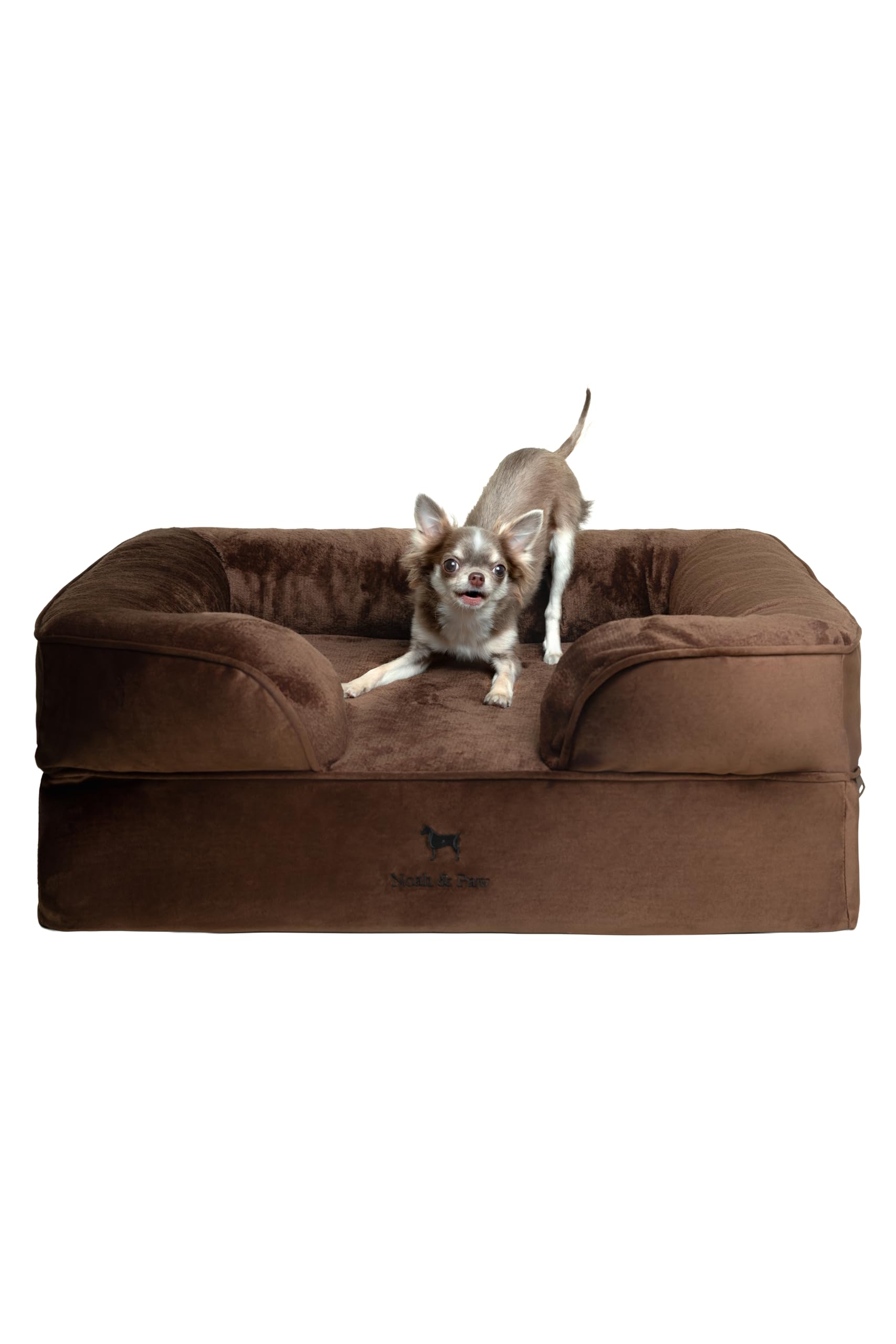 NOAH & PAW Dog Bed