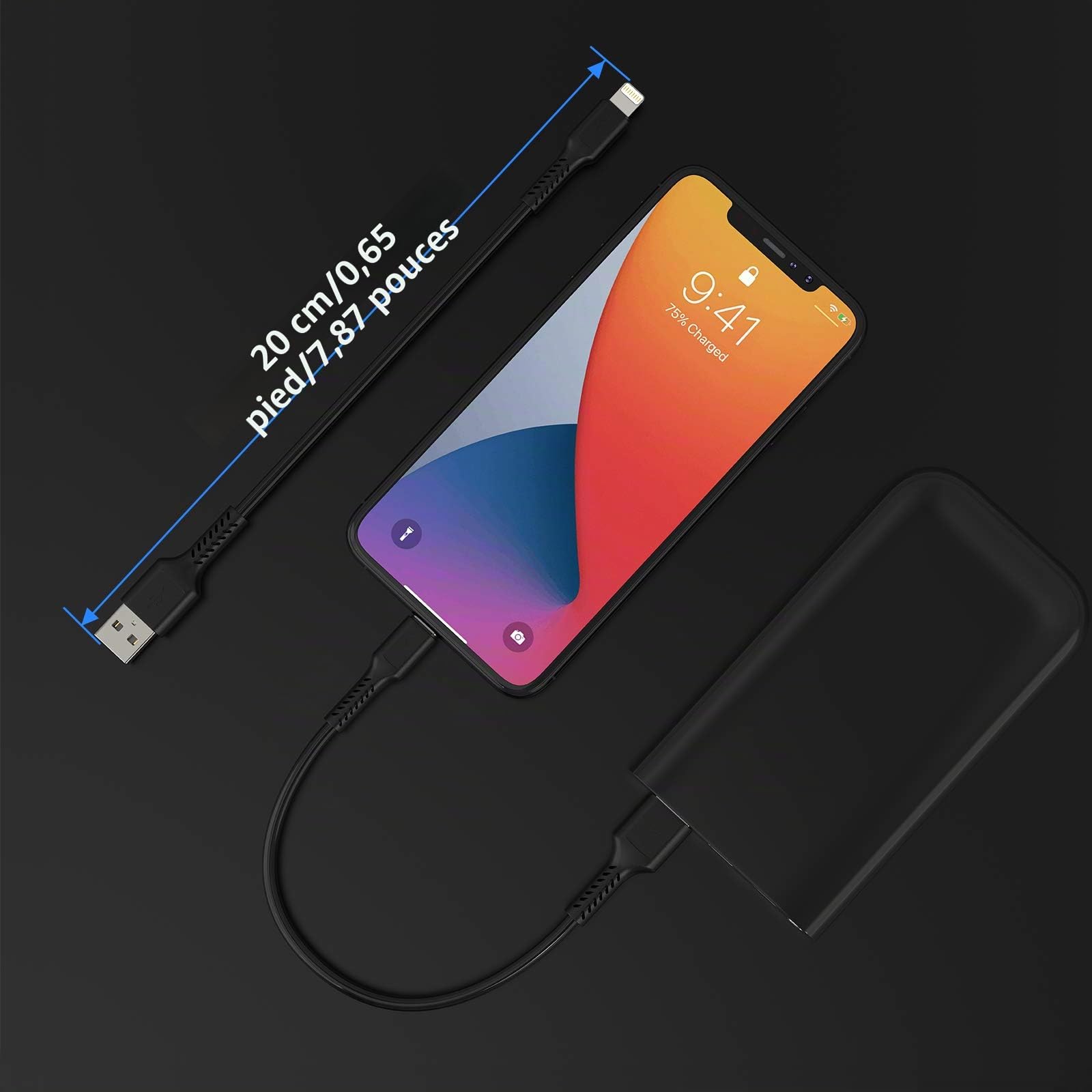 Câble iPhone Chargeur Court 20cm [Certifié MFi] Lot de 5 Câble Lightning vers USB 0.2m Charge Rapide pour iPhone 11, 11 Pro, X, XS, XR, 8, 8 Plus, 7, 7 Plus, 6s, 6s Plus, 6, 6 Plus - Noir