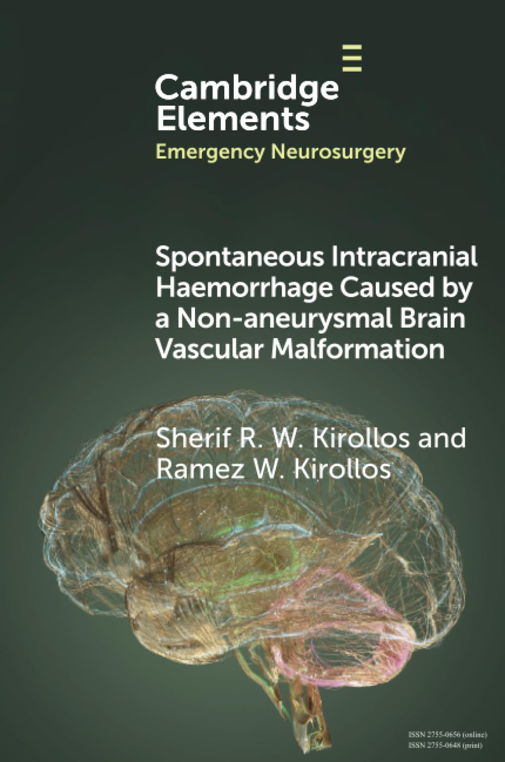 Spontaneous Intracranial Haemorrhage Caused by a Non-aneurysmal Brain Vascular Malformation (Elements in Emergency Neurosurgery)