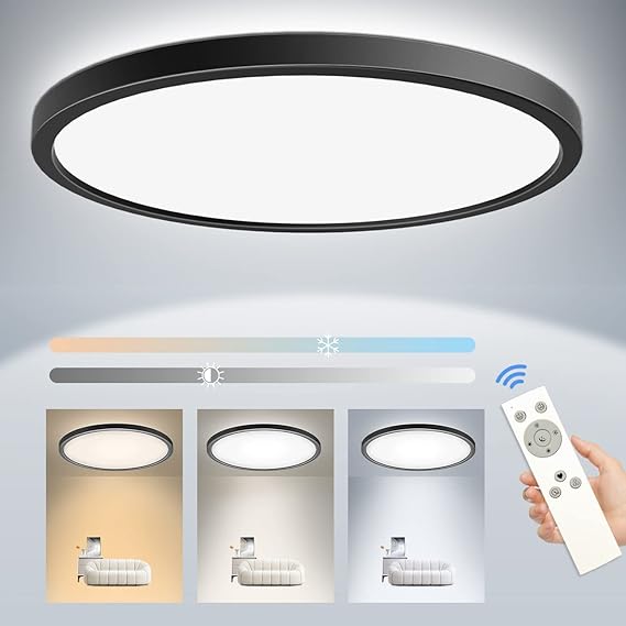 Peasur Dimmable Flush Mount LED Ceiling Light Fixtures, 11.6 Inch 24W