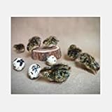 Jumbo Coturnix Quail Hatching Fertile Eggs – 12 + Jumbo – Quail Eggs