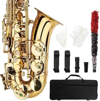 Vasitelan Alto Eb E-flat Saxophone Gold Lacquer SAX Beginners Kit with Case, Mouthpieces,Gloves,Aglet,Cleaning Cloth,Reed