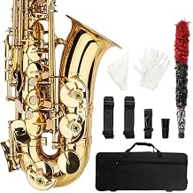 Vasitelan Alto Eb E-flat Saxophone Gold Lacquer SAX Beginners Kit with Case, Mouthpieces,Gloves,Aglet,Cleaning Cloth,Reed