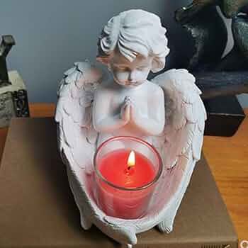 61FfDnK5CqL._AC_UF350,