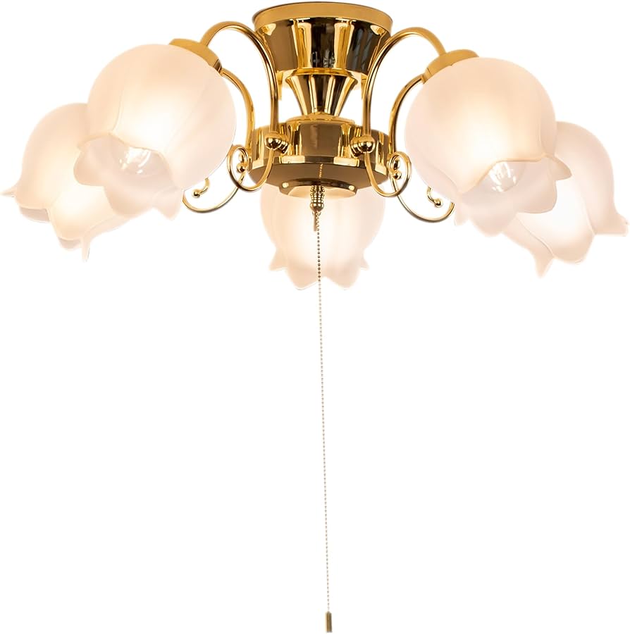 Amazon.co.jp : Amplimle シーリングライト 5灯 照明 シャンデリア E26