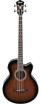 Ibanez　アイバニーズ　AEB10 アコースティックベース Ibanez Acoustic Basses AEB10E Acoustic Electric Bass Guitar