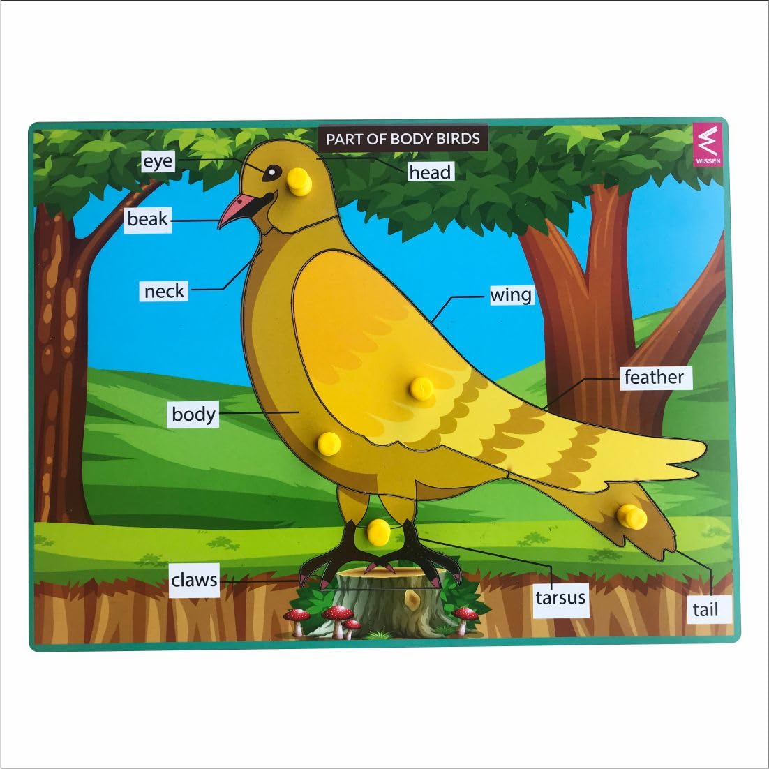 WISSEN Wooden Birds Parts Learning Puzzle Peg Board - 12 * 9 inch | 2+ Years Old Kids (B08P9DNYSK) Amazon Price History, Amazon Price Tracker