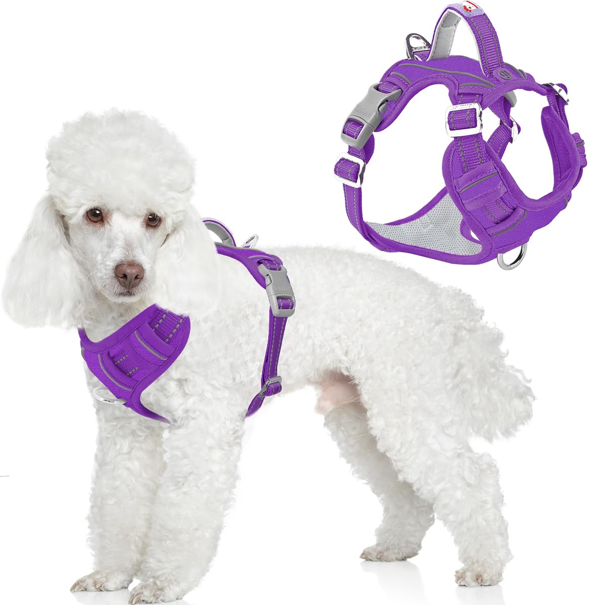 BARKBAY Dog Harness No Pull Oxford with ID Tag Pocket - Heavy Duty, Reflective, Easy Control for Large Dogs(Purple Oxford,S) — image 1