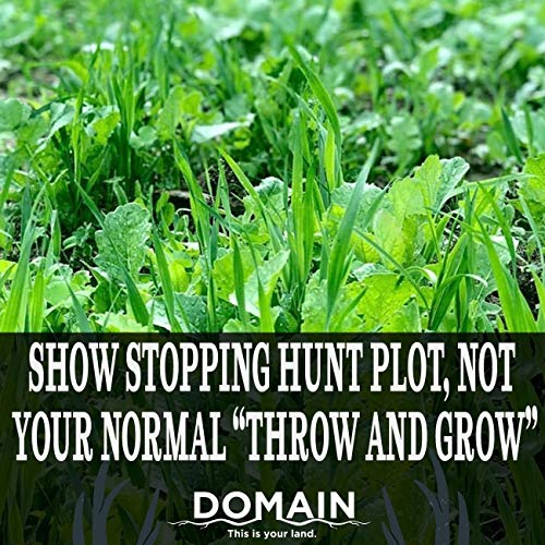 Domain Outdoor No BS Deer Food Plot Seed, 1/4 Acre, Finally a No Till Mix with Zero Fillers, No Heavy Equipment Required - Forage Oats, Clover, Forage Rape, Chicory, Radish - Thumbnail 6