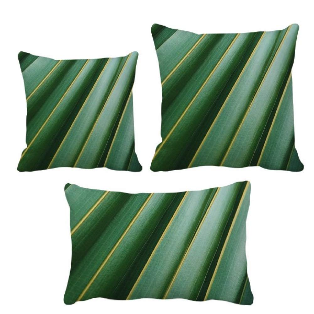 Parure de coussin feuilles vertes pour revitaliser un canape fatigue