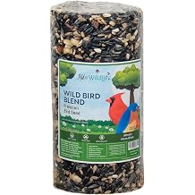JCs Wildlife Wild Bird Blend Seed Cylinder with Hole, Sunflower Safflower Pecans Peanuts Bird Food for Outside Feeders, Cardinals Woodpeckers Chickadees Nuthatches, Made in the USA, 1.5 lb, 1 Cylinder