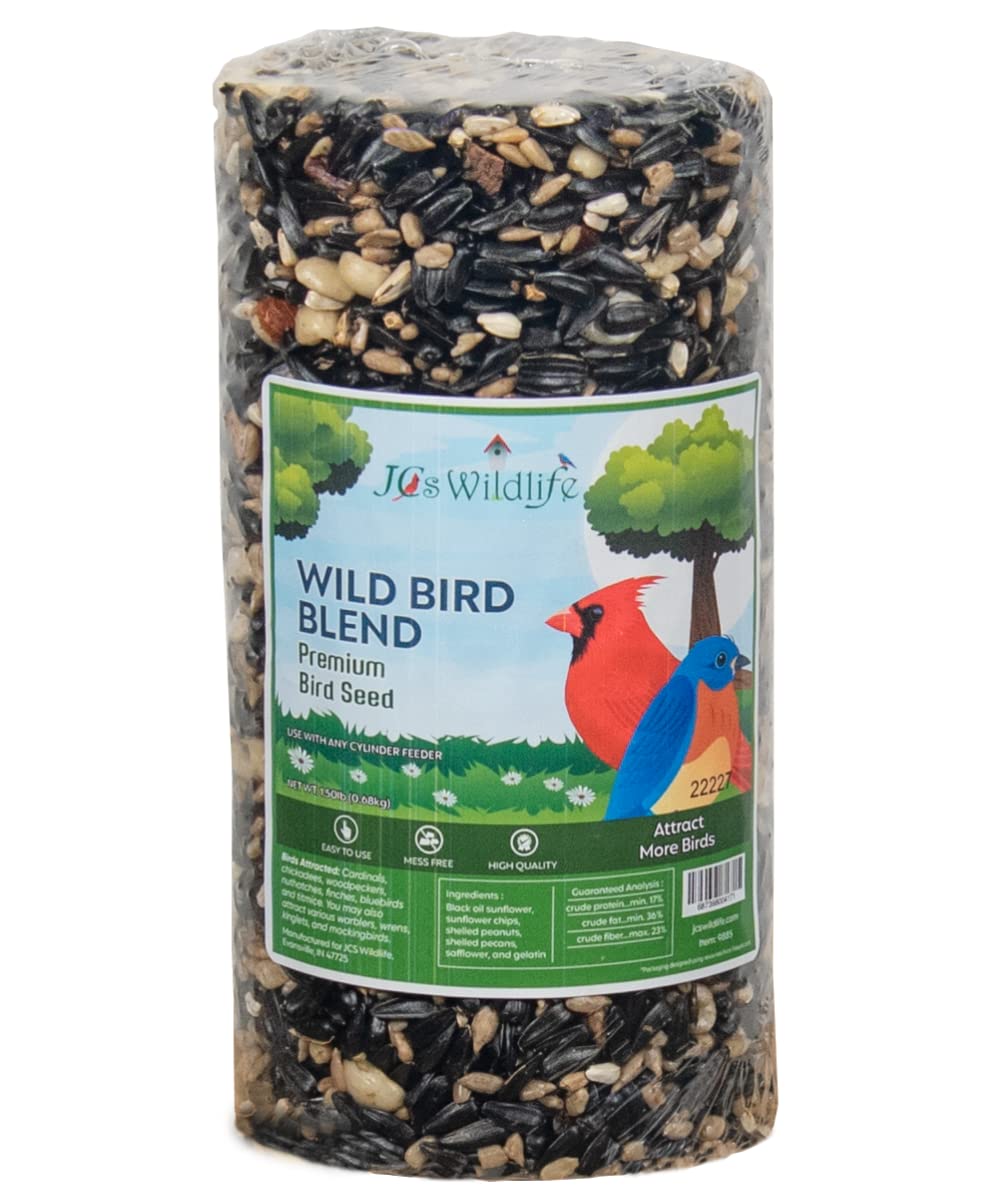 10 Best Cylinder Bird Seed for Optimal Feeding Results Hummingbirds Plus
