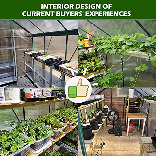 July's Song Walk-In Greenhouse For Outdoors,6.2' X 8.2' Hobby Polycarbonate Greenhouse Kit, Aluminum Heavy Duty Green House With 2 Vent Windows, Sliding Door And Raised Base For Backyard In All Season #TOP7